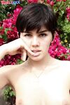 (TRANS) Daisy Taylor ultimate collection